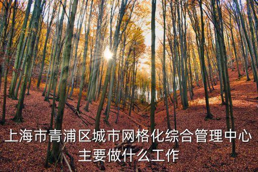 上海市青浦區(qū)城市網(wǎng)格化綜合管理中心主要做什么工作