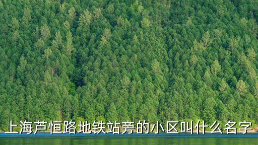 上海蘆恒路地鐵站旁的小區叫什么名字