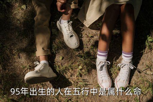 95年是什么命，1995年是什么命