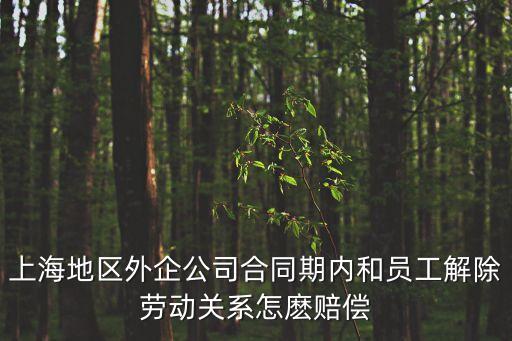 上海市終止勞動關(guān)系，上海市職工與企業(yè)終止勞動關(guān)系其個人公積金可提取嗎