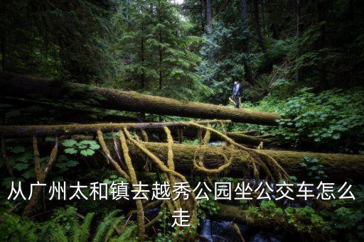 從廣州太和鎮去越秀公園坐公交車怎么走