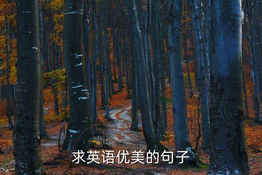 求英語優美的句子