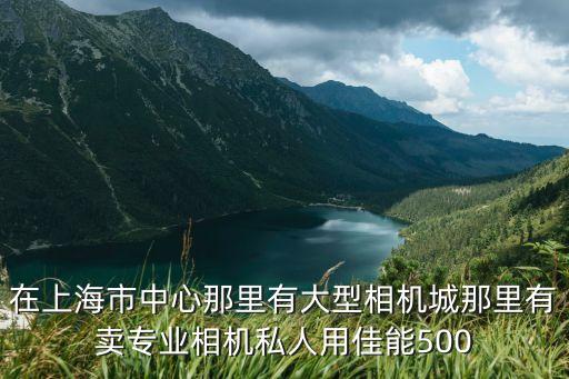 在上海市中心那里有大型相機城那里有賣專業相機私人用佳能500