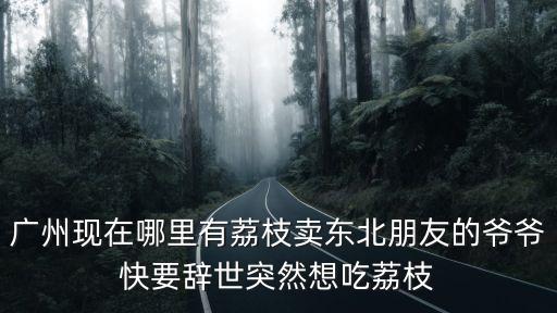 廣州現(xiàn)在哪里有荔枝賣東北朋友的爺爺快要辭世突然想吃荔枝