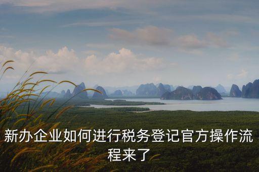 新辦企業如何進行稅務登記官方操作流程來了