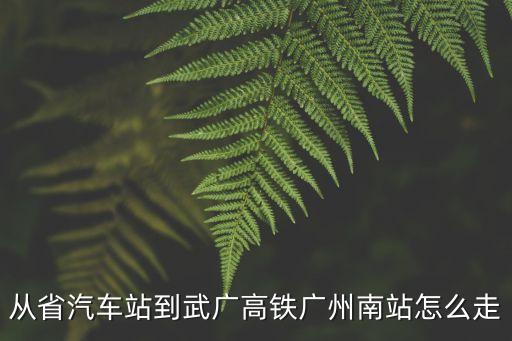 鄂州汽車站到廣州南站怎么走，到廣州南站怎么走