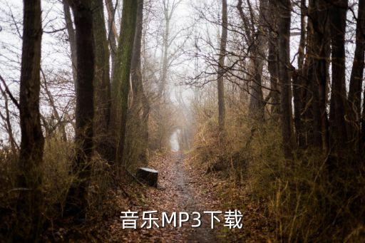 mp3音樂，mp3格式的音樂有哪些