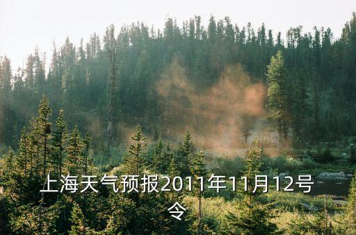 上海市氣象局第31號(hào)文，國(guó)藥準(zhǔn)字Z H分別是什么意思