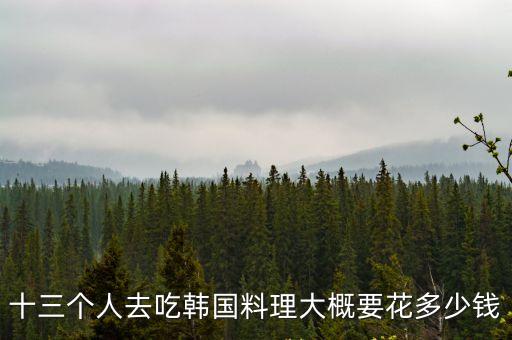 十三個人去吃韓國料理大概要花多少錢