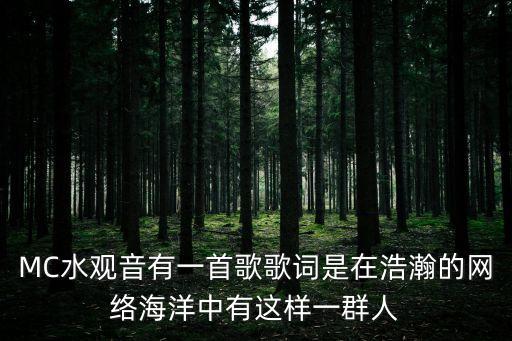 有這樣一群人，MC水觀音有一首歌歌詞是在浩瀚的網絡海洋中有這樣一群人