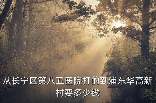 從長寧區第八五醫院打的到浦東華高新村要多少錢