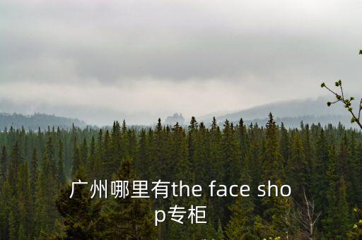 廣州哪里有the face shop專柜