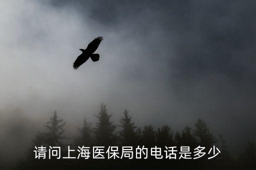 上海市各區醫保局地址電話，靜安區醫保局電話