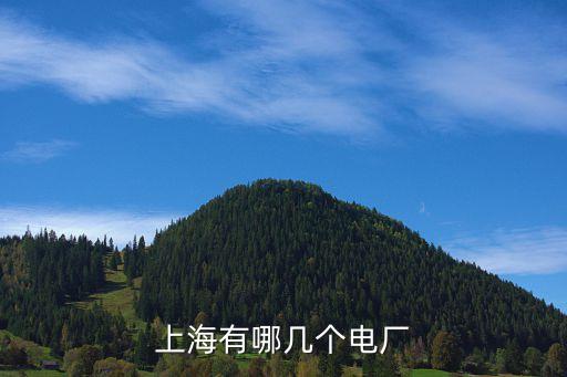 上海市閘北電廠，上海的閘北電廠屬于國(guó)家電網(wǎng)么