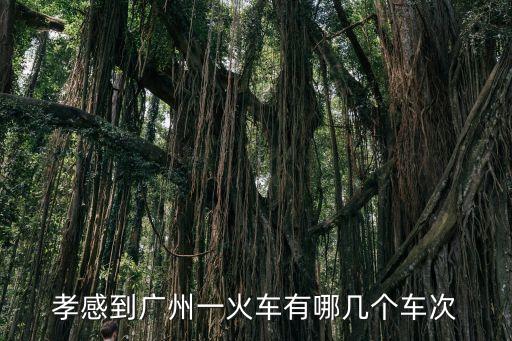 孝感東站到廣州南站火車時刻表，孝感武昌到廣州的火車