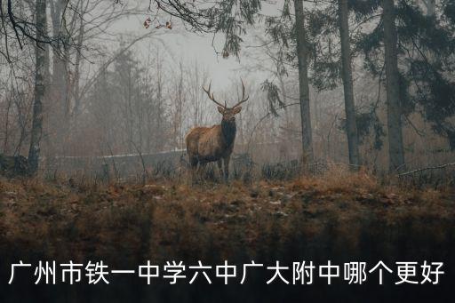 廣州廣大附中大學城排名，廣州大學城的學校排名