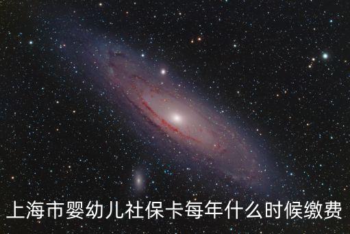 上海市嬰幼兒社保卡每年什么時候繳費