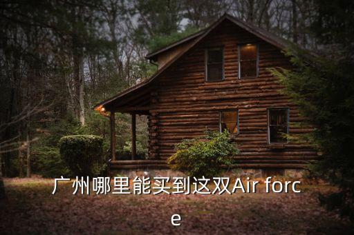 廣州哪里能買到這雙Air force