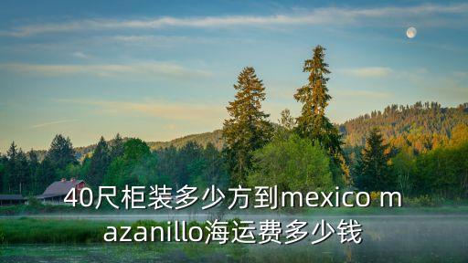 40尺柜裝多少方到mexico mazanillo海運費多少錢