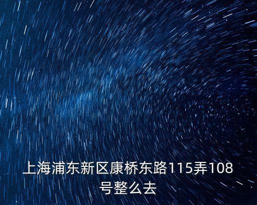 上海浦東新區(qū)康橋東路115弄108號整么去