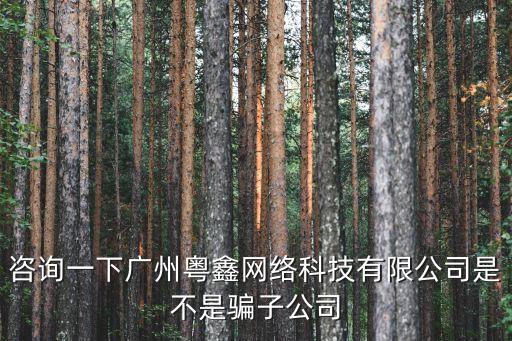 廣州粵福科技有限公司，咨詢一下廣州粵鑫網絡科技有限公司是不是騙子公司