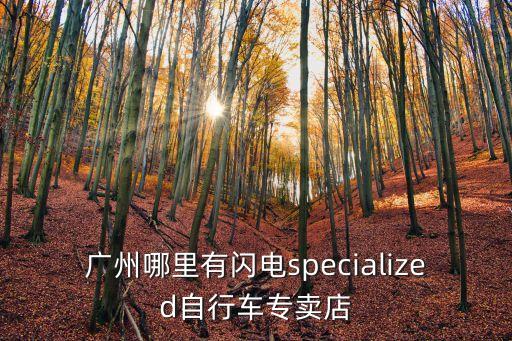 廣州哪里有閃電specialized自行車專賣店