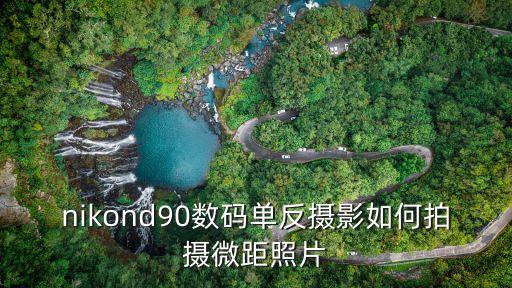 nikond90數(shù)碼單反攝影如何拍攝微距照片