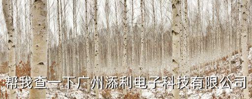幫我查一下廣州添利電子科技有限公司