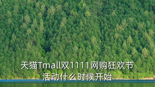 天貓雙11晚會，天貓雙11晚會從那一年開始的