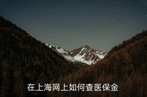在上海網上如何查醫保金