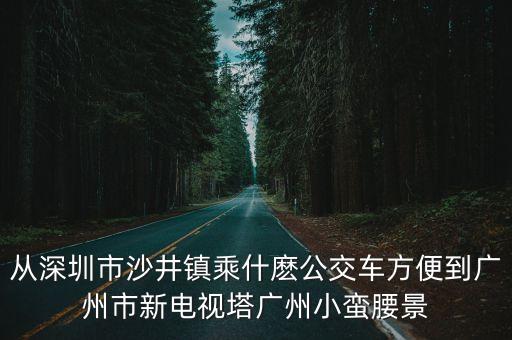 沙井客運(yùn)站到廣州小蠻腰，從沙井客運(yùn)中心到廣州的大巴多少錢