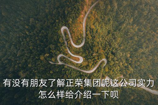 有沒有朋友了解正榮集團呢這公司實力怎么樣給介紹一下唄