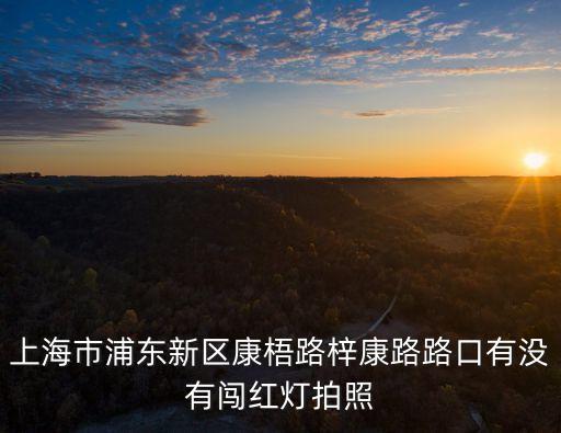 上海市浦東新區(qū)康梧路，康梧路468號怎么走