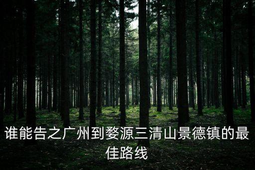 誰能告之廣州到婺源三清山景德鎮的最佳路線