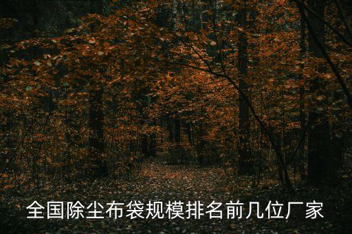 全國除塵布袋規模排名前幾位廠家
