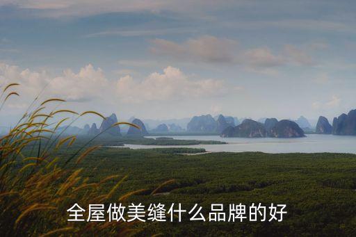 美縫品牌，有知道美縫劑大品牌嗎房屋醫(yī)生和金粉飾家是嗎