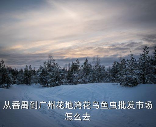 從番禺到廣州花地灣花鳥魚蟲批發(fā)市場(chǎng)怎么去