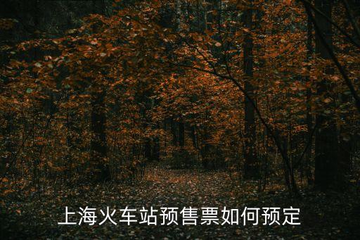 上海市預(yù)售辦事指南，上海火車站預(yù)售票如何預(yù)定