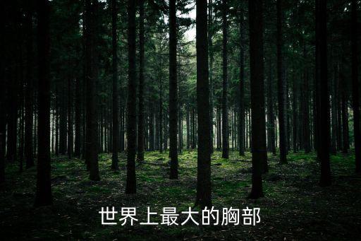 世界上最大的乳房，世界第1大胸是