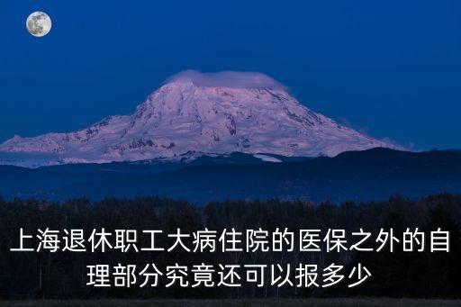 上海市退休大病保險，怎么辦理上海市退休職工大病社會保險