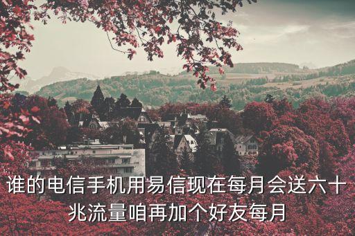 網(wǎng)易和廣州電信，163com與163net是什么關系