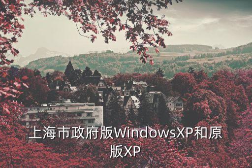 上海市政府版WindowsXP和原版XP