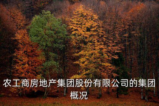 農工商房地產集團股份有限公司的集團概況