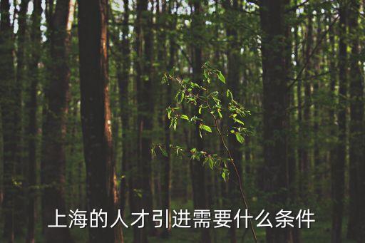 上海的人才引進需要什么條件