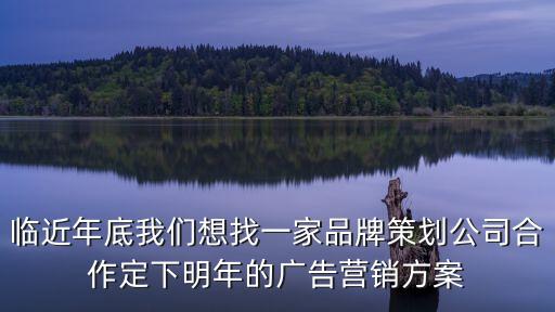 臨近年底我們想找一家品牌策劃公司合作定下明年的廣告營銷方案