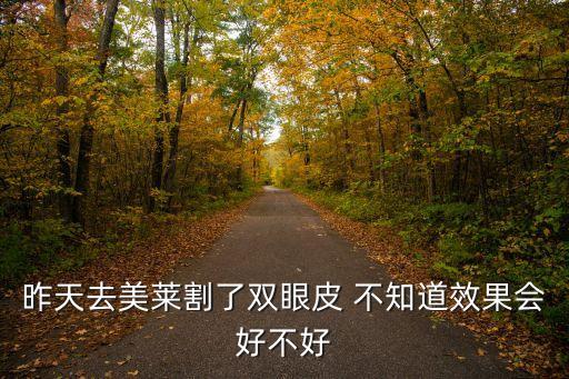 廣州美萊雷濤雙眼皮手術(shù)效果，昨天去美萊割了雙眼皮 不知道效果會(huì)好不好