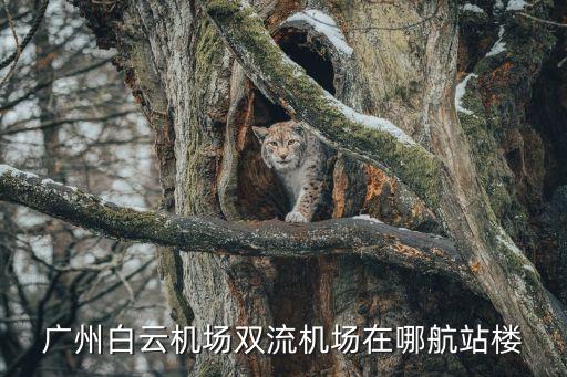 廣州雙流機場地址，雙流機場位于什么地方
