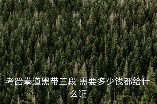 廣州武術段位證多少錢，考跆拳道黑帶三段 需要多少錢都給什么證