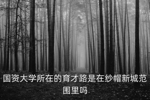國資大學(xué)所在的育才路是在紗帽新城范圍里嗎