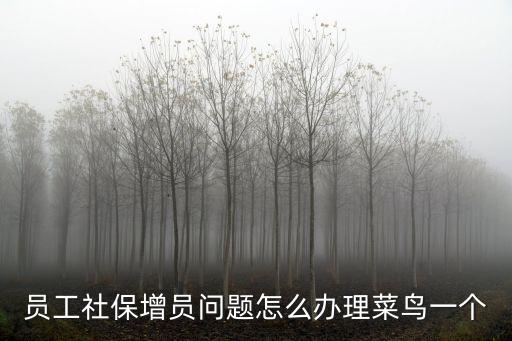 上海市網(wǎng)上辦理社保增員，如何辦理社保增員手續(xù)